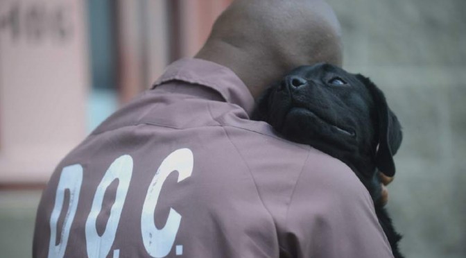 Man hugging dog for UDS Tails Program
